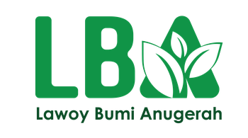 LBA Group